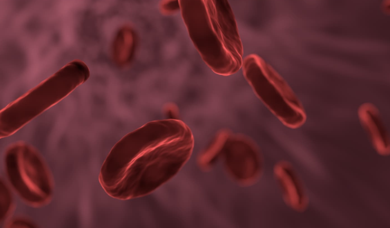 matrix education illustration for red blood cell 